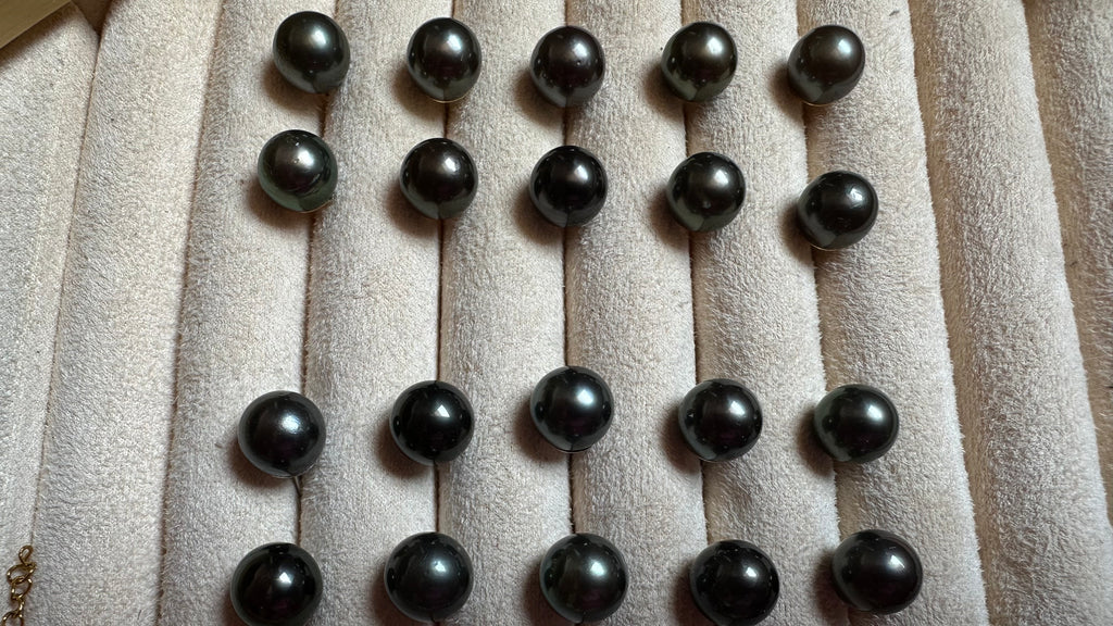 Puces d’oreilles Poerava