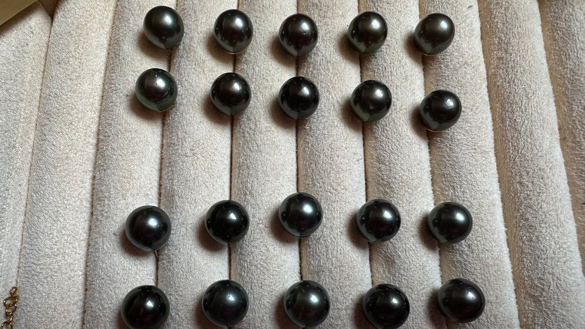 Puces d’oreilles Poerava