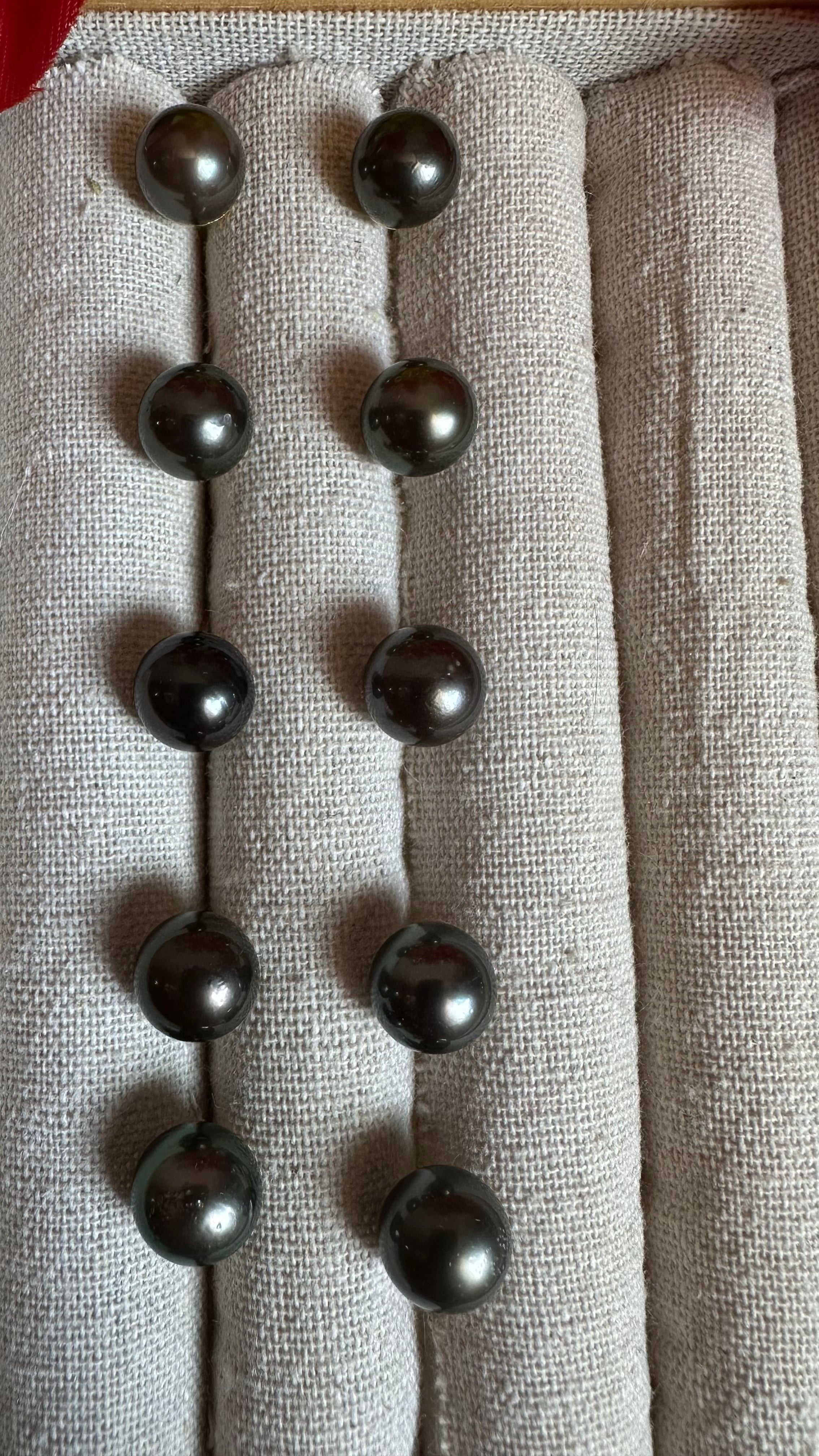 Puces d’oreilles Poerava