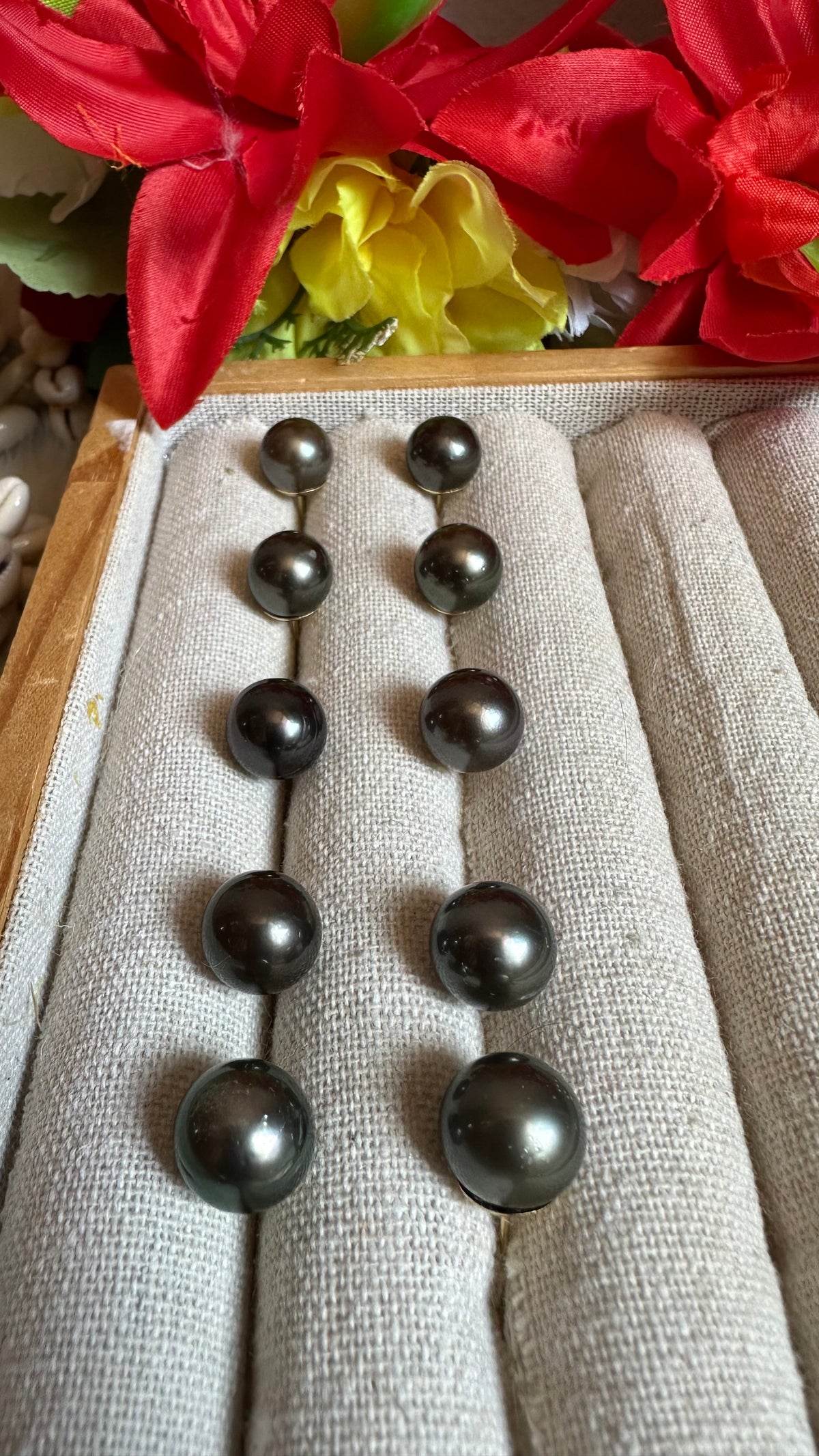 Puces d’oreilles Poerava